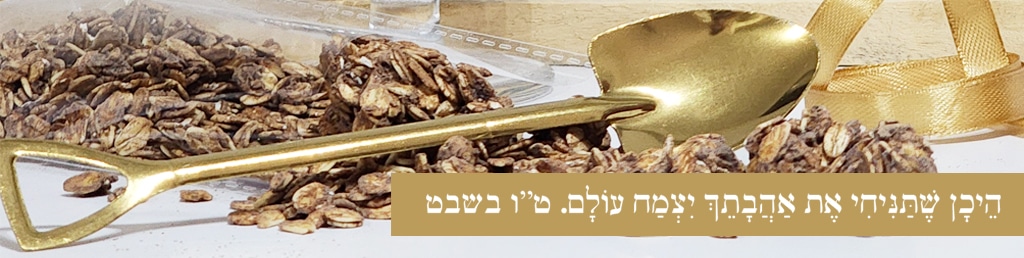 כלים אביזרים מתנות ועריכת שולחנות לטו בשבט